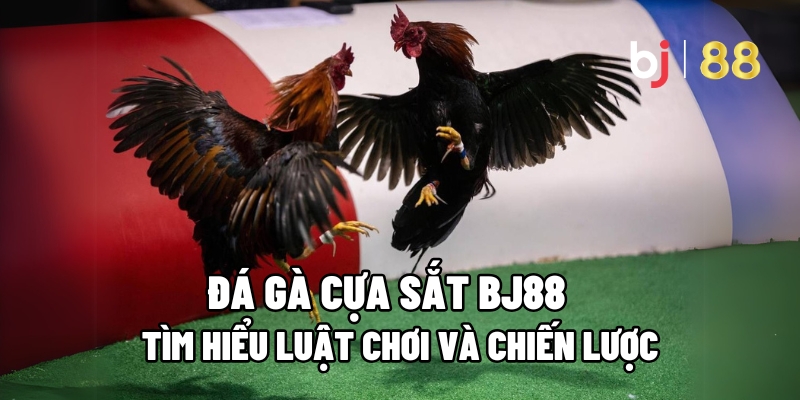 Đá Gà Cựa Sắt BJ88 – Tìm Hiểu Luật Chơi Và Chiến Lược - Kivo168